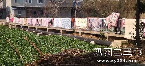 IMG_20240128_115943.jpg