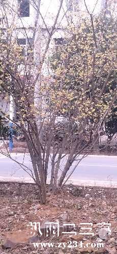 IMG_20240130_122729.jpg