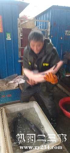 IMG_20240126_085928.jpg