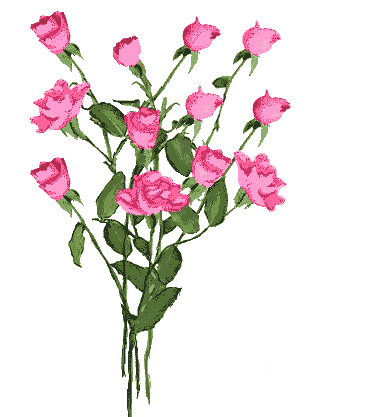 mmexport7aeeb13695c2ba696dd219c2f014cf26_1707864737463.gif