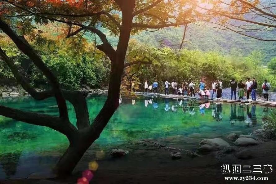 图片5.jpg