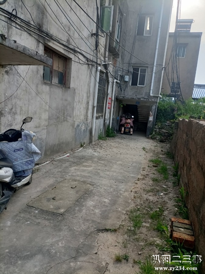 IMG20240616165248.jpg