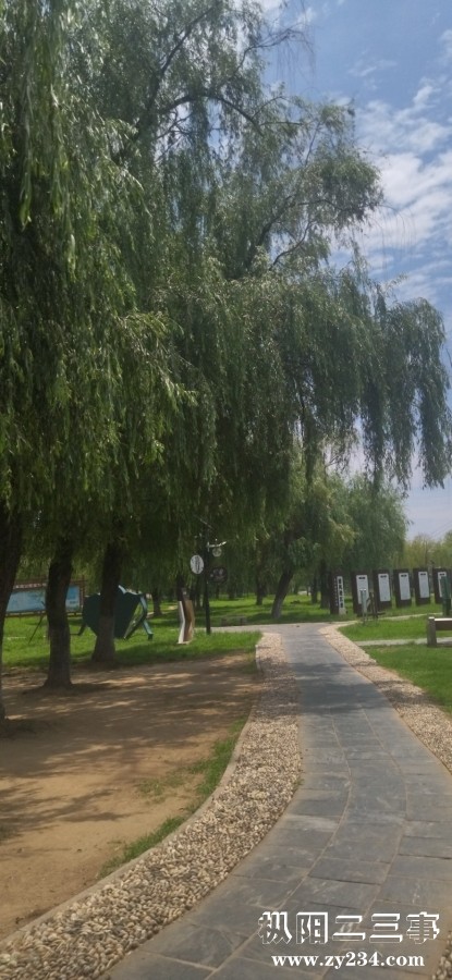 IMG_20240617_112919.jpg