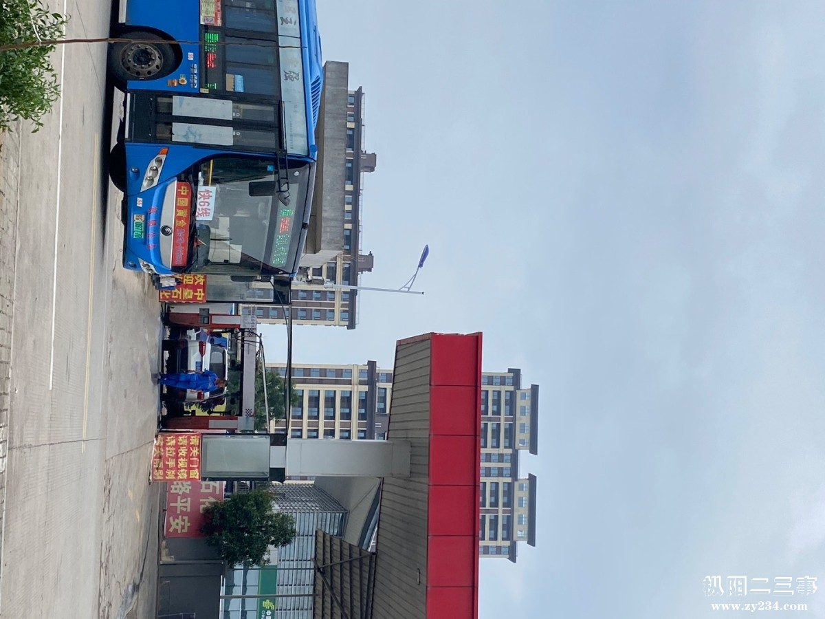 IMG_2835.jpeg