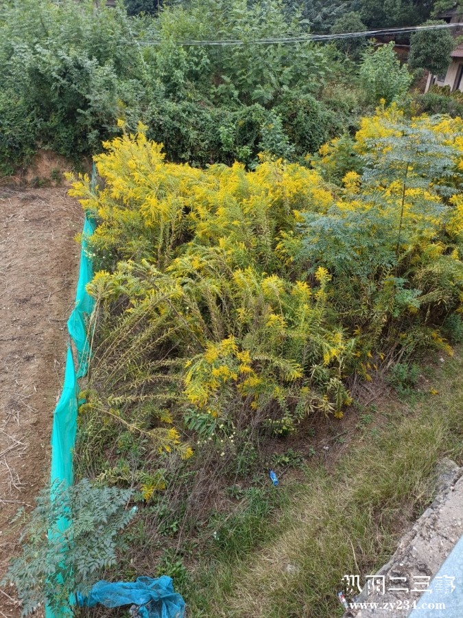 IMG20241020135121.jpg