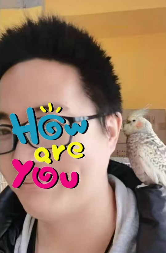 我的头像