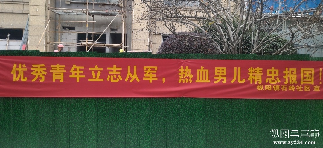 IMG_20241209_151933.jpg