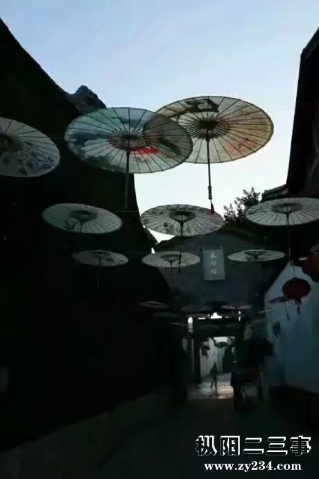 874387164_071441.jpeg