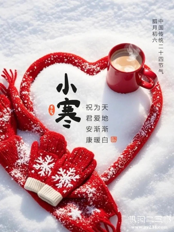 mmexport82a5150e5153560c3a470c7d1120fce2_1736026330055.jpeg