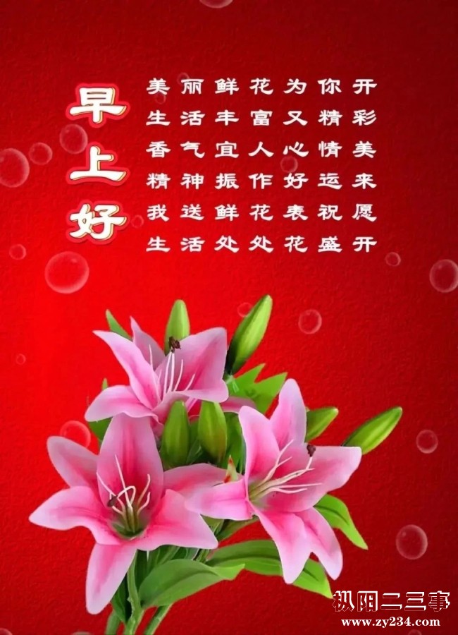 mmexport1736202296971.jpg