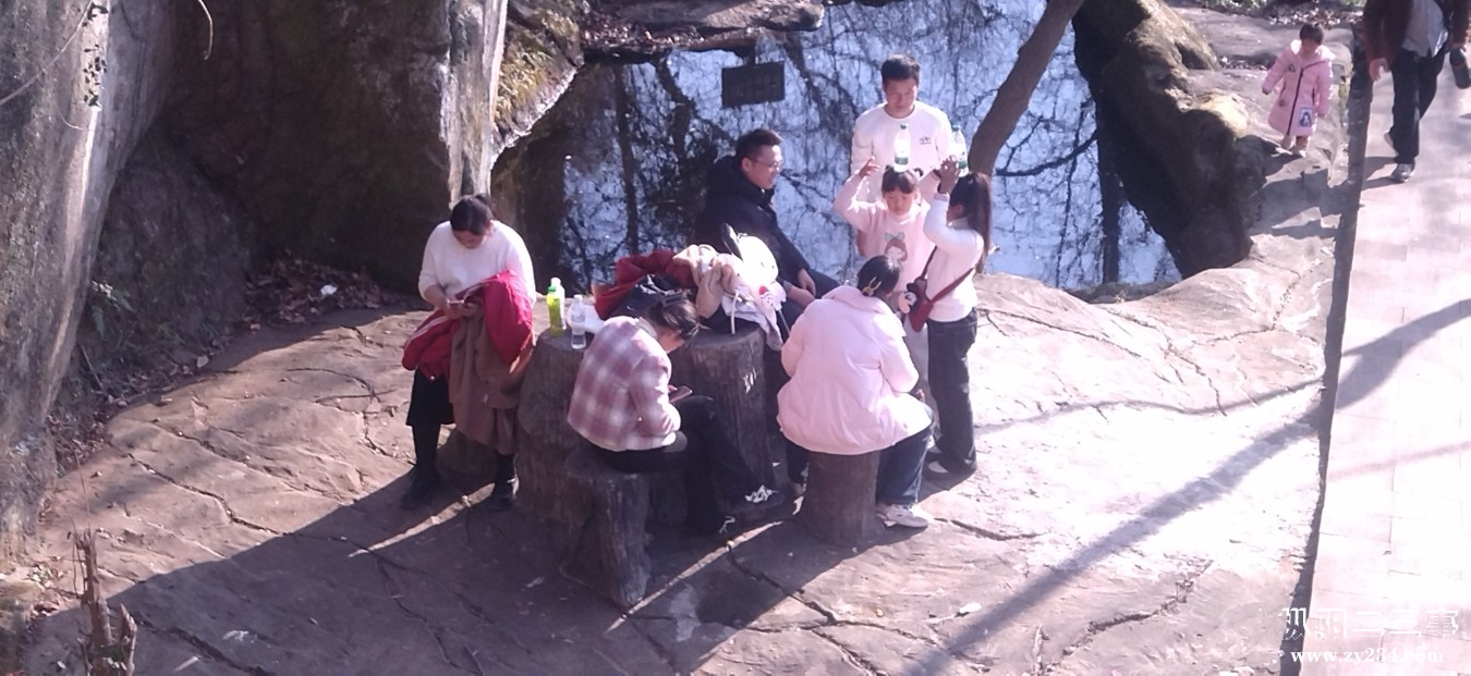 IMG_20250130_154850.jpg