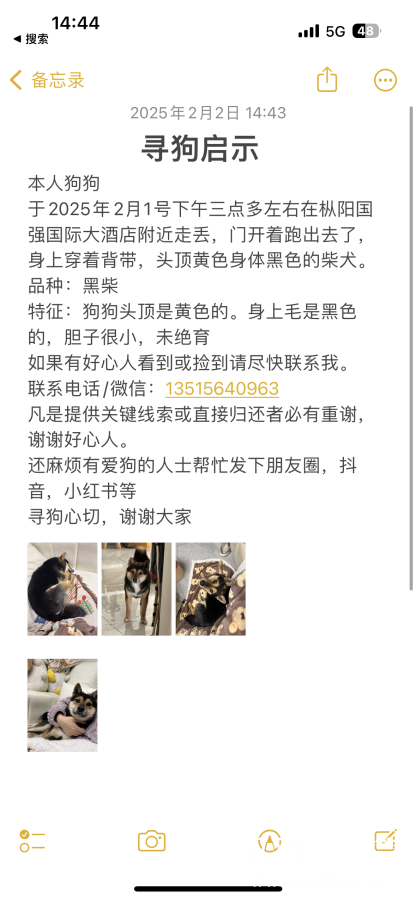 mmexport1738478712875.png