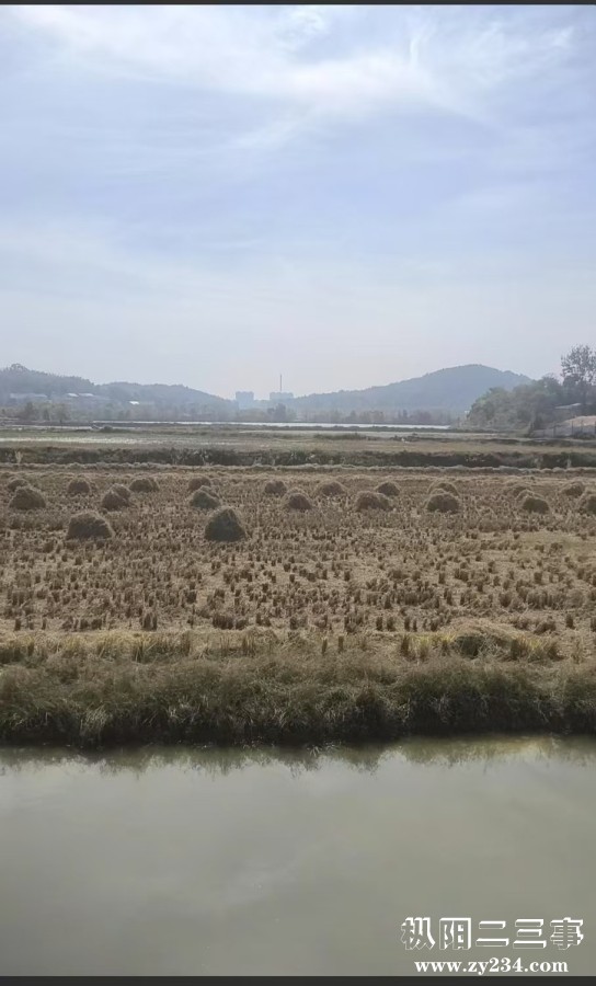 微信图片_20250219214954.jpg