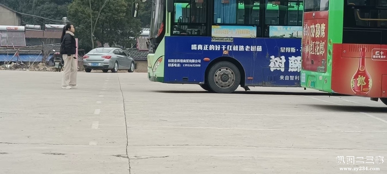 mmexport1741559369909.jpg