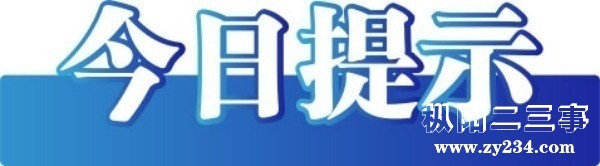 20250410f06eb69596d946c0a5f41e7c723459e2_20250410649190c4afdc467d9a4a33846667df49.jpg