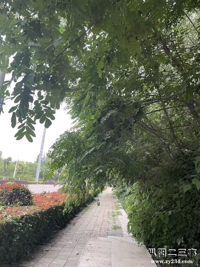 29ba7956cec72b6ec398461b05e9ce01.jpeg