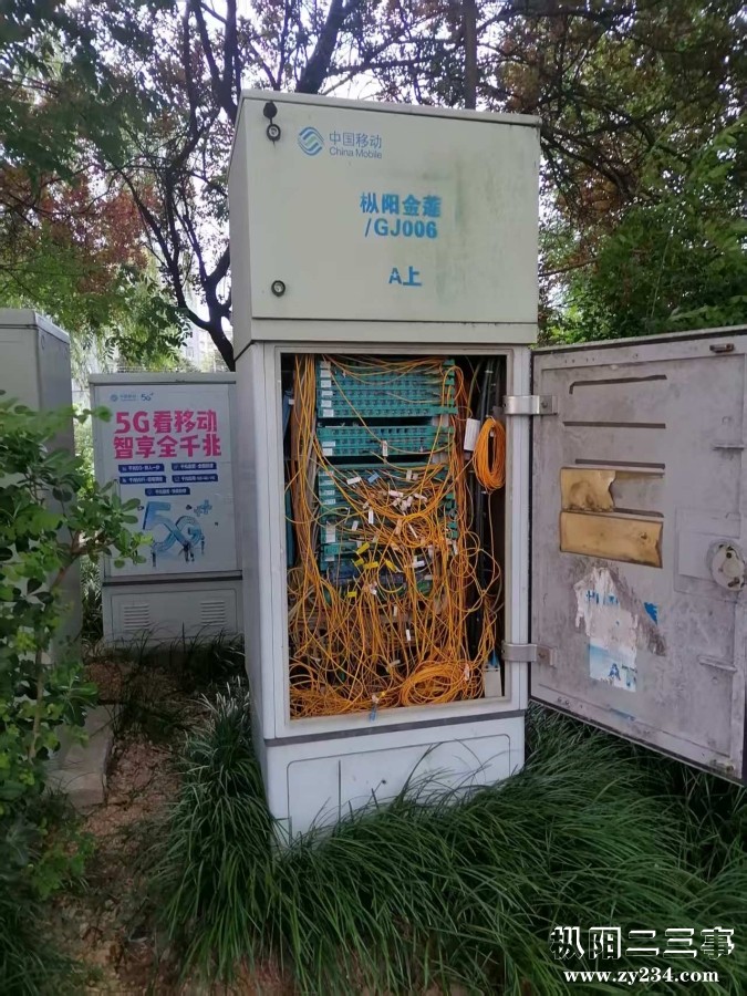 mmexport1752136278389.jpg