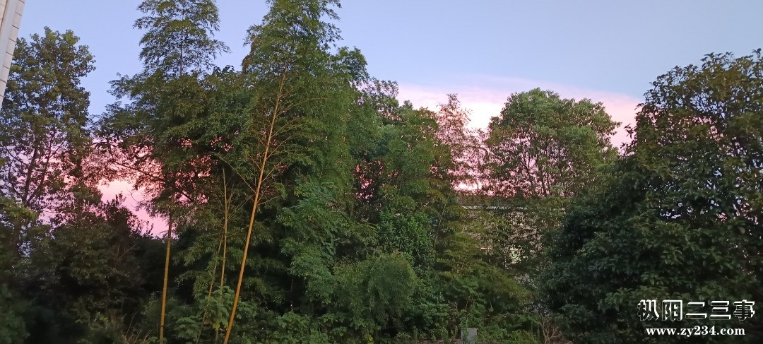 IMG_20250820_185758.jpg