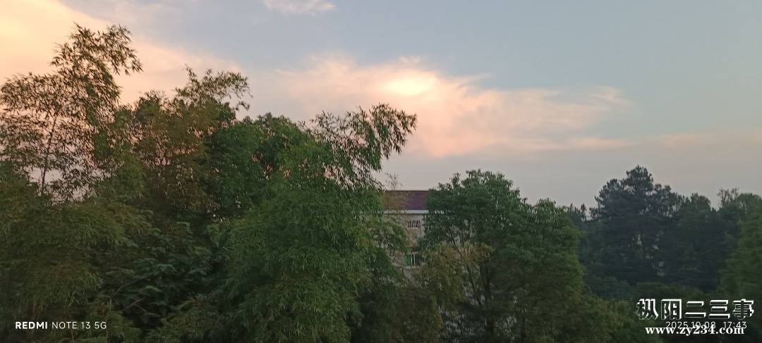 IMG_20251008_174334.jpg