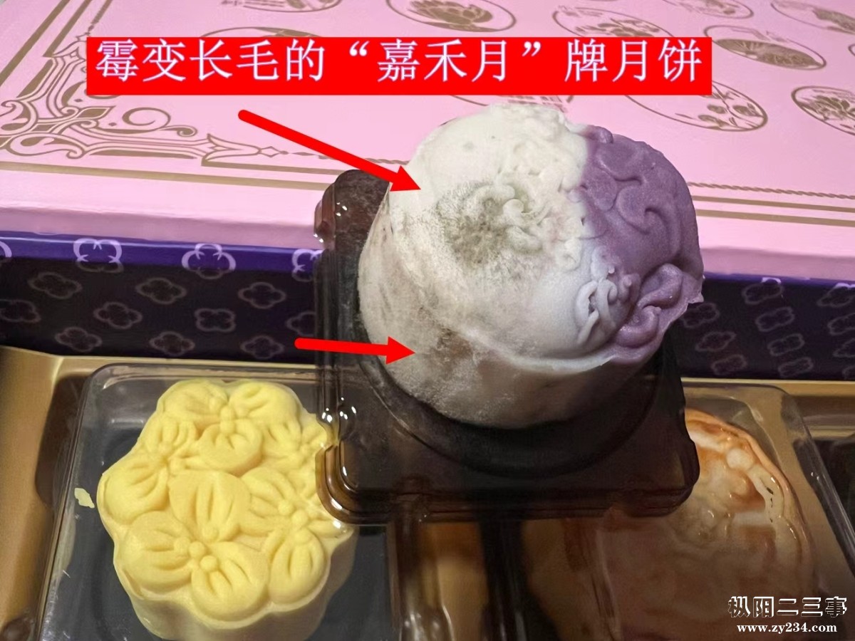 问题月饼5.jpg