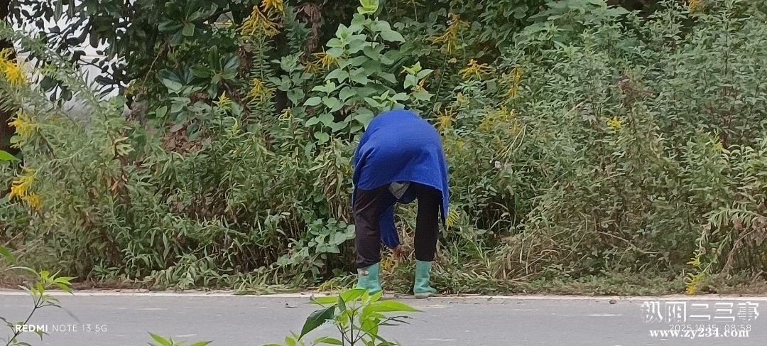IMG_20251015_085826.jpg