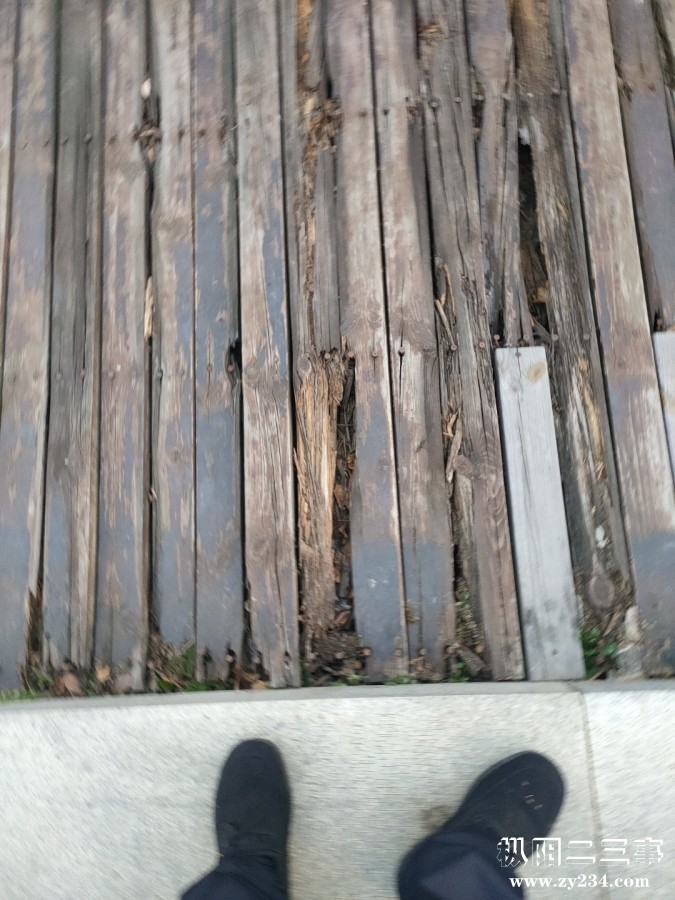 1768556066063.jpg