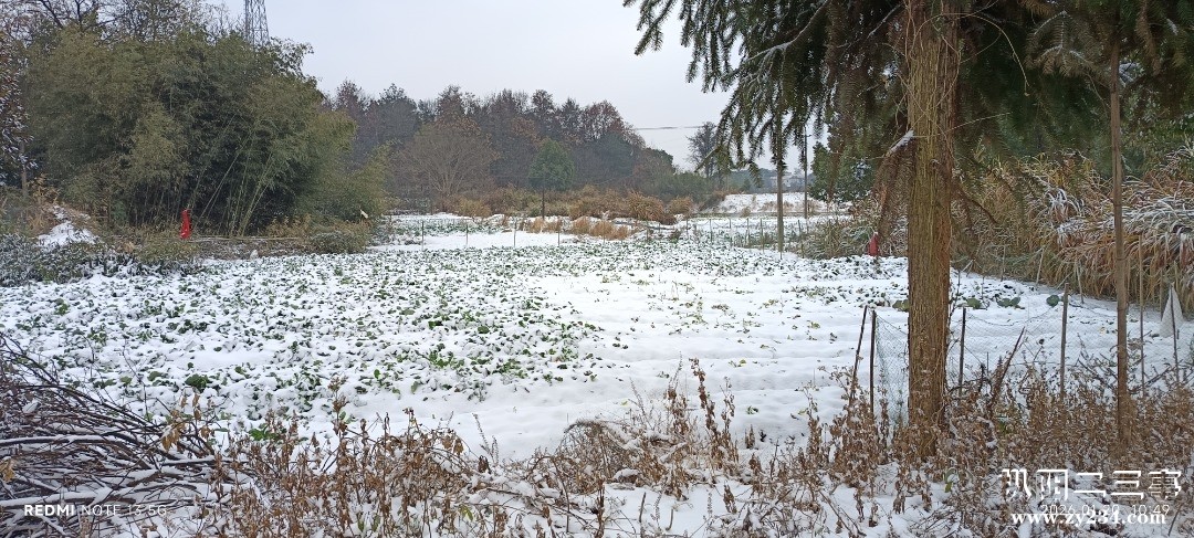 IMG_20260120_104913.jpg