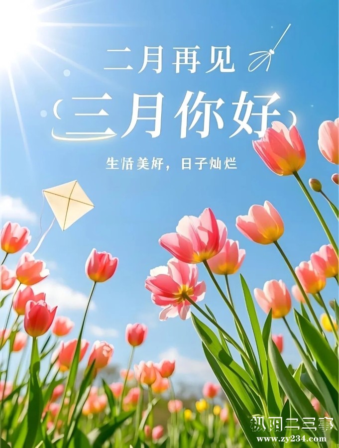 mmexport45dbfbc8c1e1e4e513778ebc2dfa7ef5_1772254637629.jpeg