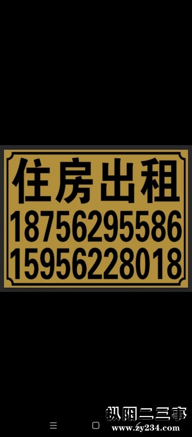Screenshot_2026-03-01-11-22-03-337_com.xunmeng.pinduoduo.jpg