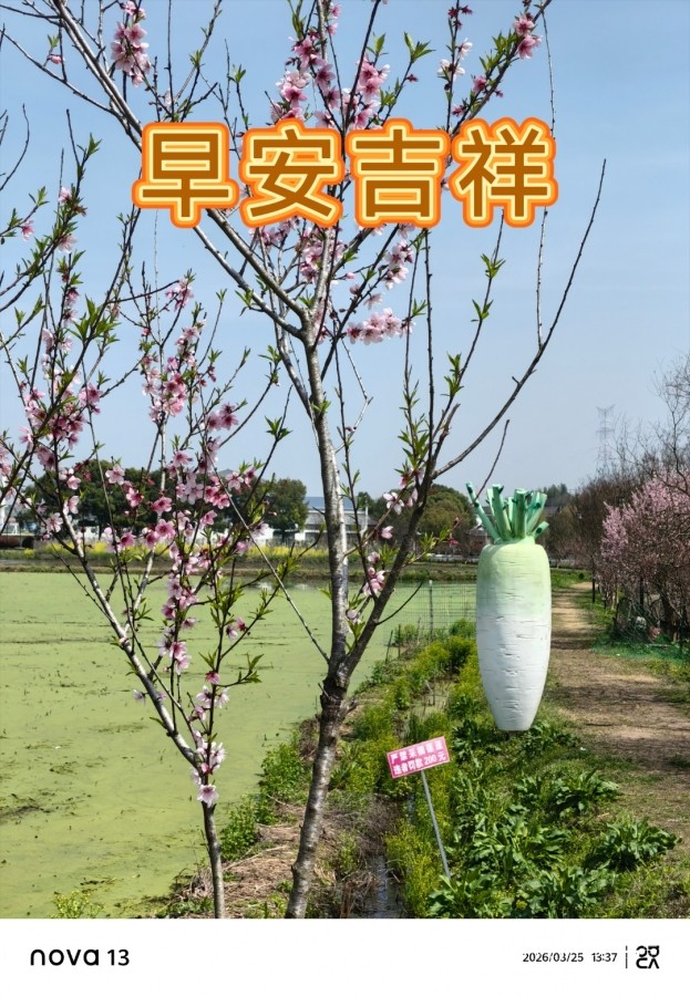 MEITU_20260415_073950006.jpg