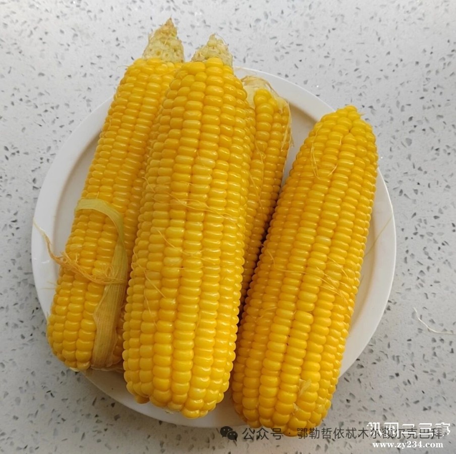 mmexportd7038bd2b3410985fea6a745c52ef802_1779960509545.jpeg