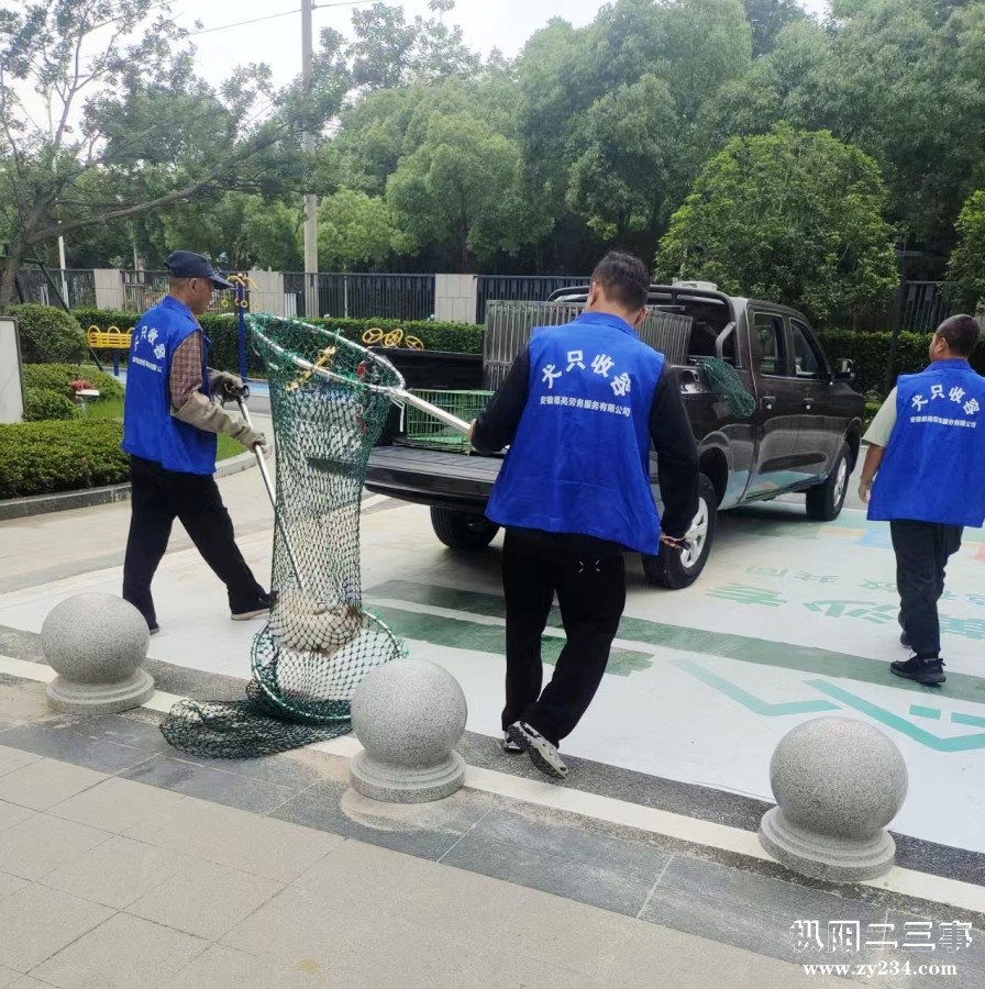 微信图片_20260606090303_66_1987.jpg