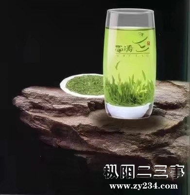 337371878_065639.jpeg