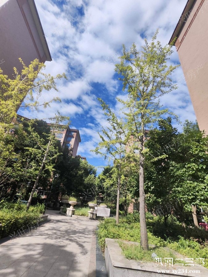 室内图_无标签(1).jpg