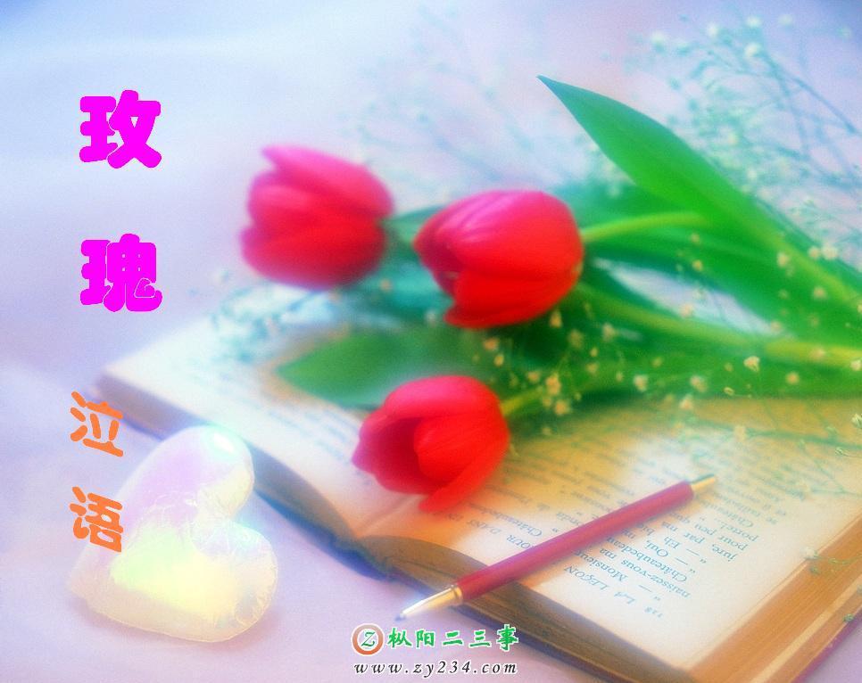 2005330141159.jpg