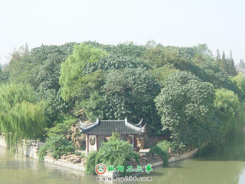 橄榄岛