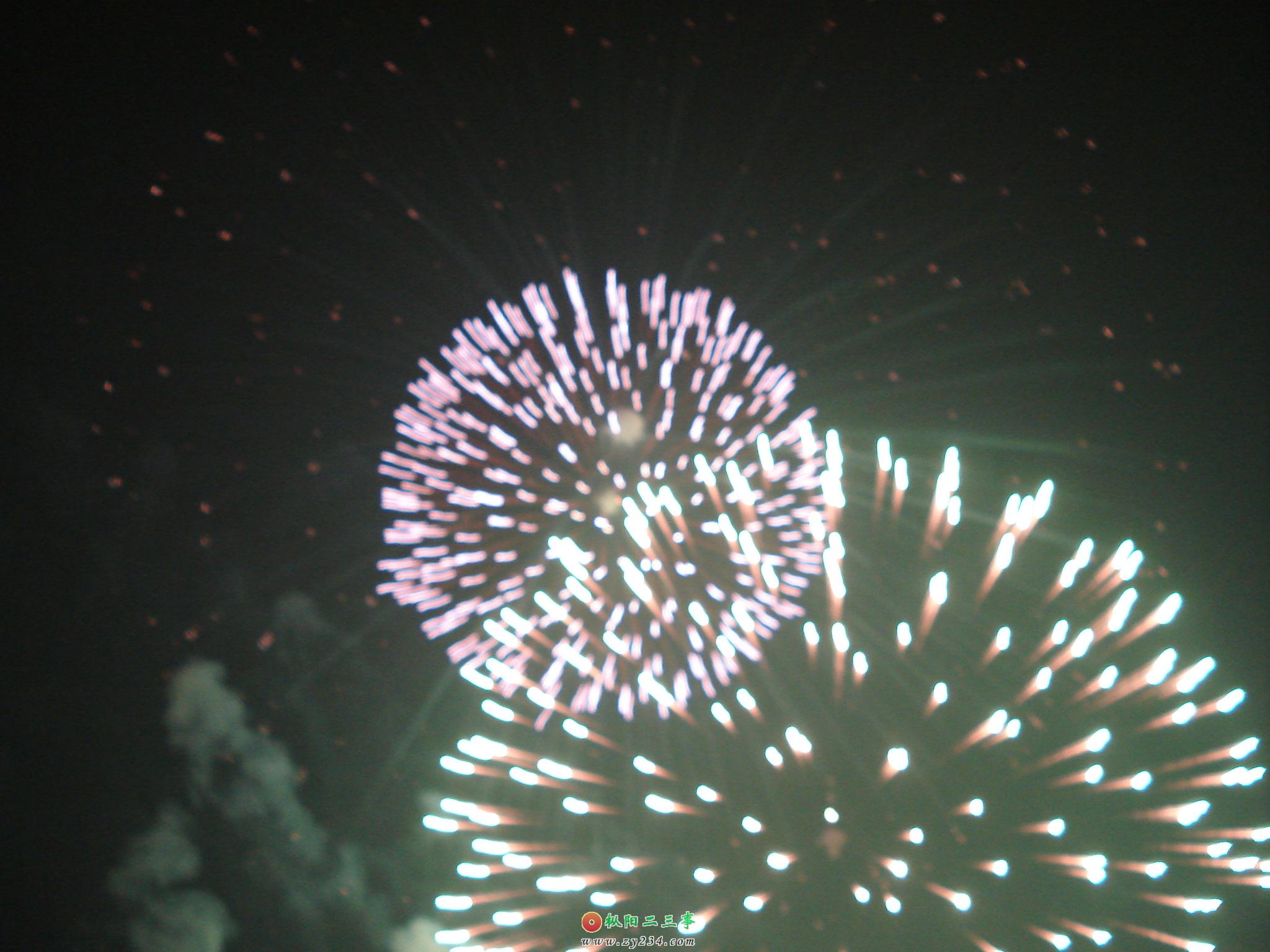 DSC01978.JPG