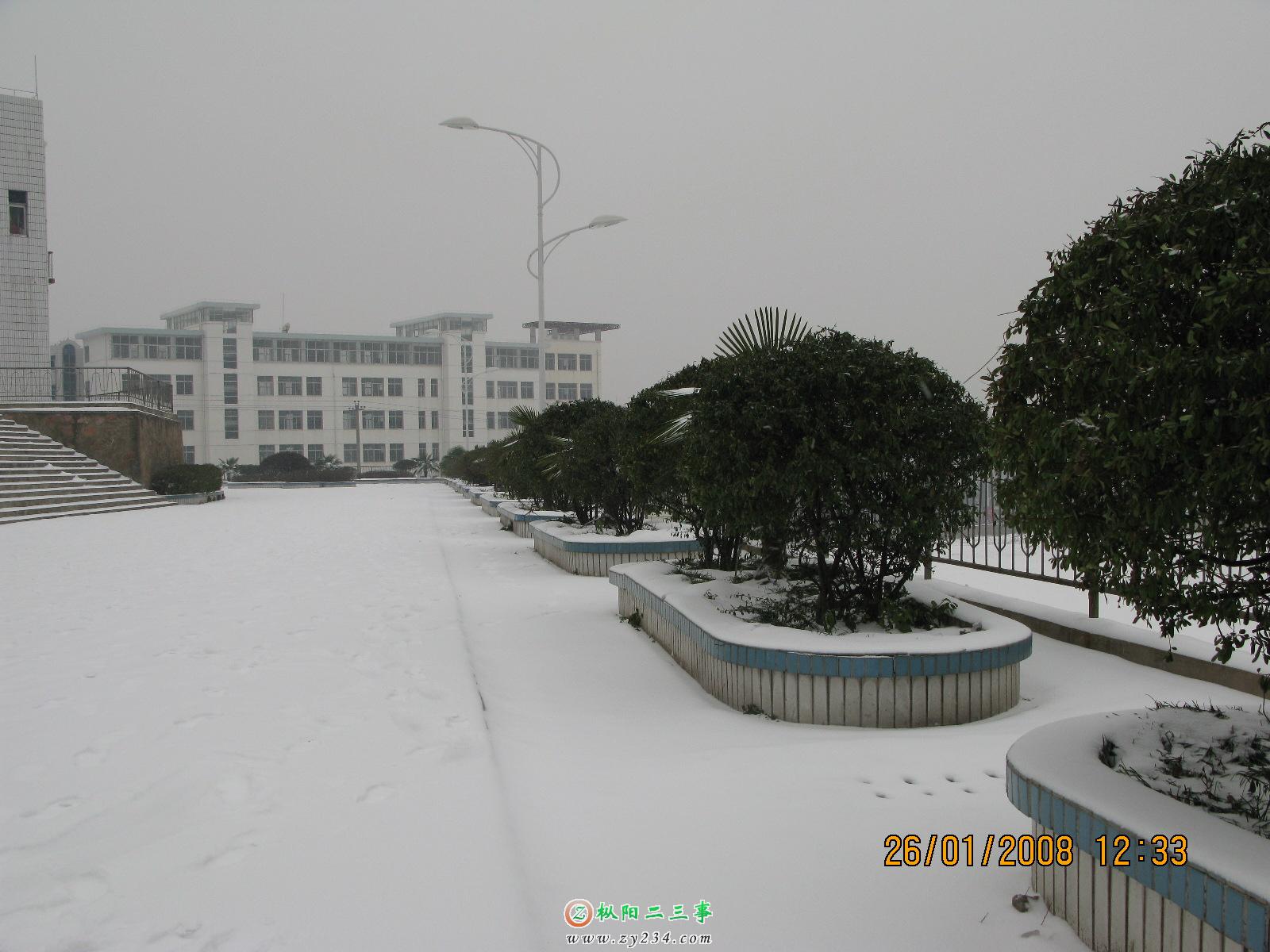 26&nbsp;  01&nbsp; 2008