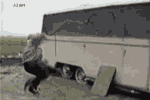 20071106_8ade92d8bb0cbfc85bf6eM9FYAWqRhQf.gif