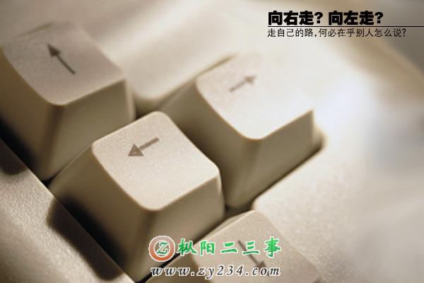 1303082.jpg