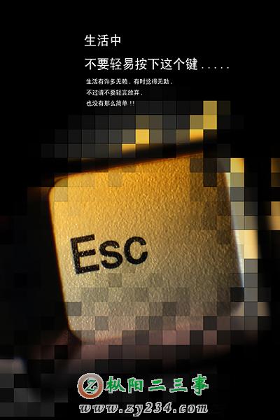1303080.jpg