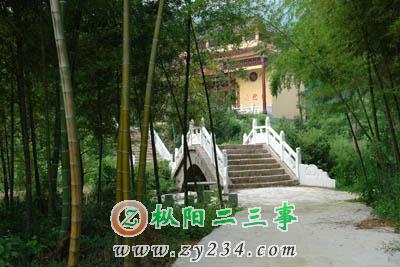 茂林修竹，环境幽雅