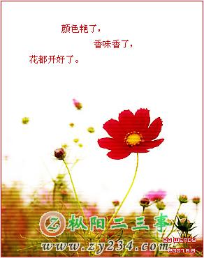 312f48f1e7f020da7831aa25.jpg