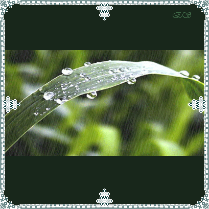 3cc8189bd8b1bf3d58887f388b8fc30d.gif