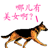 llmoodpao29.gif