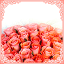 你好.gif