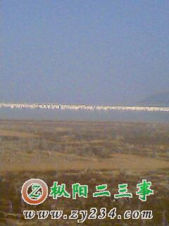IMG0003A.jpg