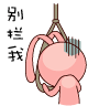 未命名.gif