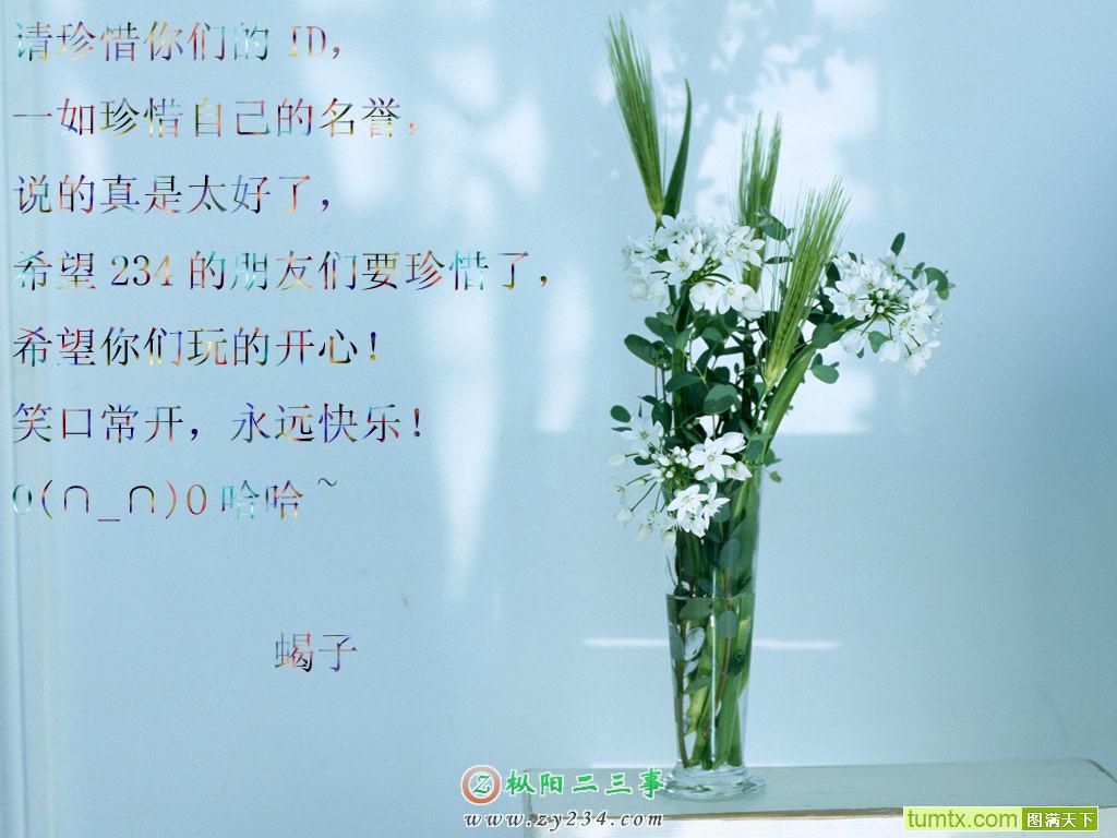 bizhi-07112682537 拷贝.jpg