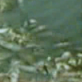 001.gif